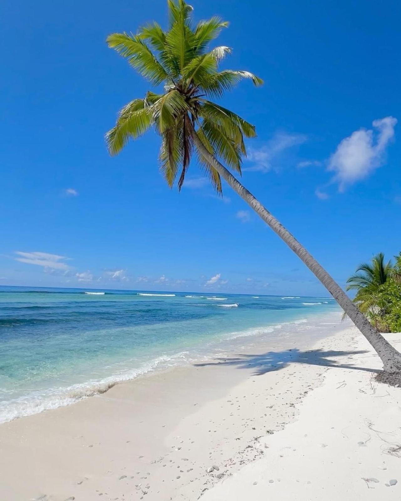 Charming Holiday Lodge- Addu Atoll Meedhoo, Maldives Екстер'єр фото